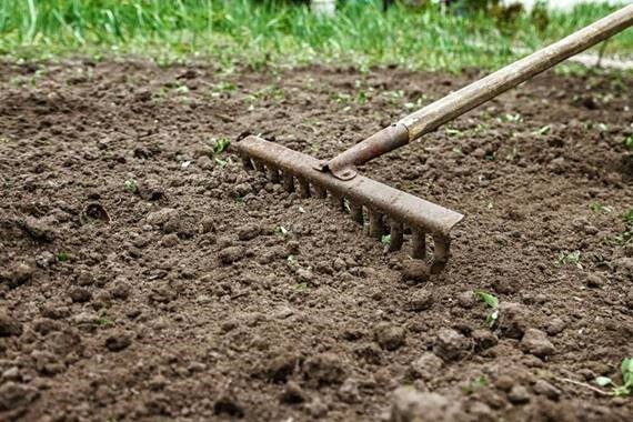 CMS tills the soil to reset the health insurance marketplace during contract year 2026 and beyond.