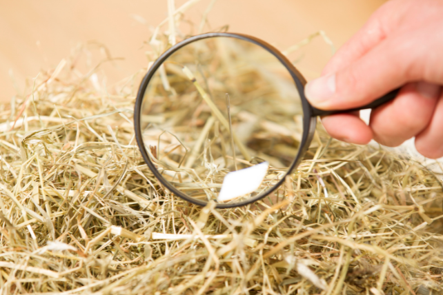 A needle sticks out in a haystack, just like a high-quality Google Business Profile helps health insurance agents stick out online.