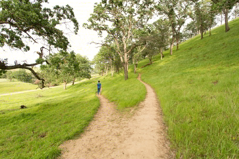 There are two paths an agent may take to protect their business this fall: Medicare sales events or ANOC meetings.