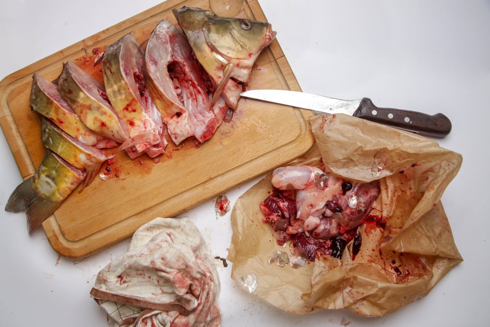 A fresh fish lies gutted, just as the Affordable Care Act and Marketplace might be.